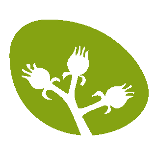 Caixa Rural Benicarlo